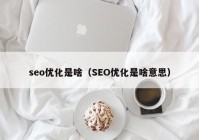 seo优化是啥（SEO优化是啥意思）