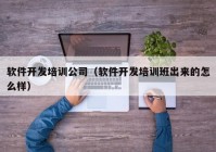 软件开发培训公司（软件开发培训班出来的怎么样）